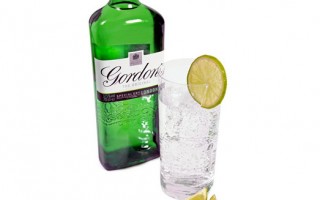 Gordon's gin tonic