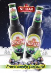 Nektar ribizla