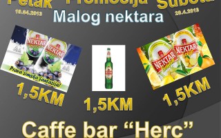 20.04.2013. – Caffe bar Herc Prijedor: Nektar party
