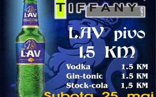 25.05.2013. – Caffe Tiffany Prijedor: Promo party