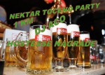 23.06.2013. – Disco club Piramida Busnovi: Nektar točeno party