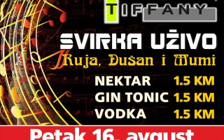 16.08.2013. – Caffe Tiffany Prijedor: Svirka uživo