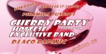 17.11.2013. – Disco club Piramida Busnovi: Cherry party